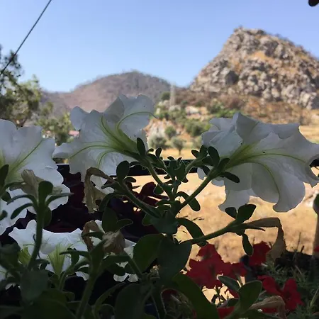 Hisaronu Villas Villa